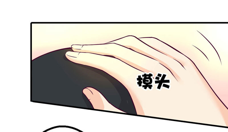 柯总的另一身份(1/2)-第20话