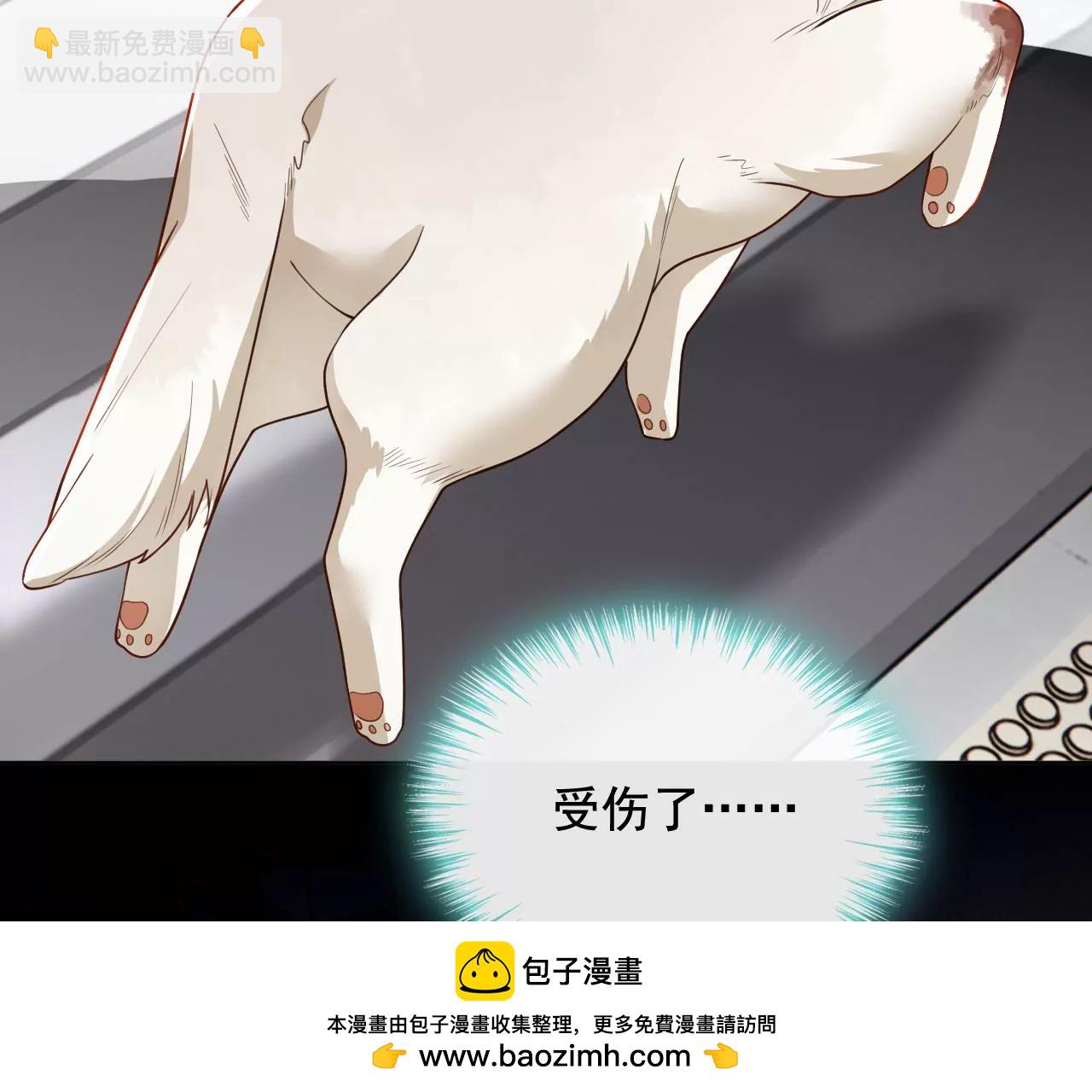 第165话 狗狗！(1/2)-第166话