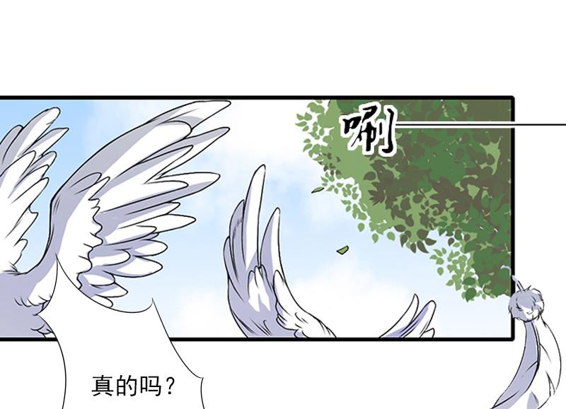 第60话 萧书晴的决断-第60话