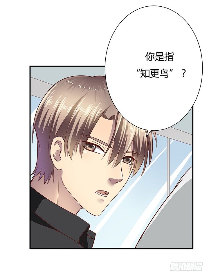 9话 这是对我们的挑衅么？(1/2)-第10话