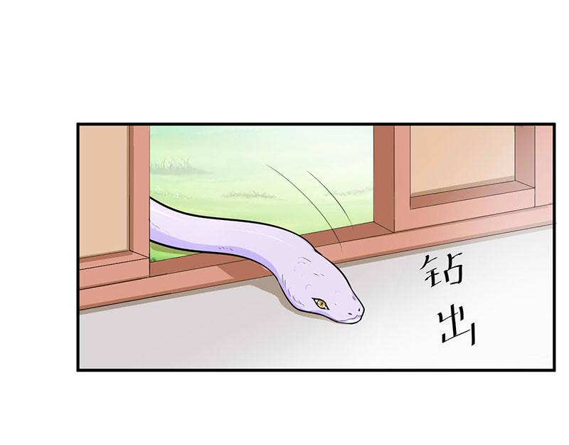 第49话 我会一直陪着你(1/2)-第50话