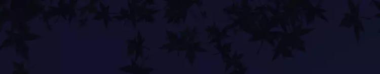 第10话  希宁，对不起(1/2)-第10话