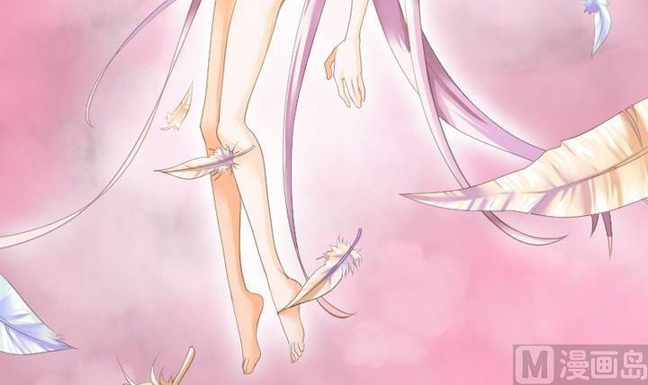 第46话 猫的寻找与报恩-第46话