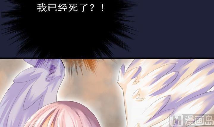 第46话 猫的寻找与报恩-第46话