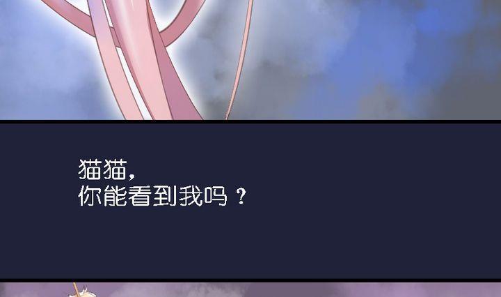 第46话 猫的寻找与报恩-第46话