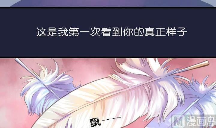 第46话 猫的寻找与报恩-第46话