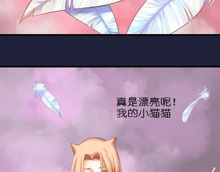 第46话 猫的寻找与报恩-第46话