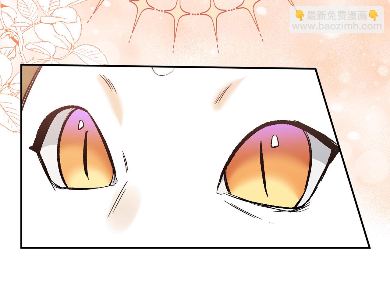 完结篇 我爱你，凯恩(1/5)-第102话