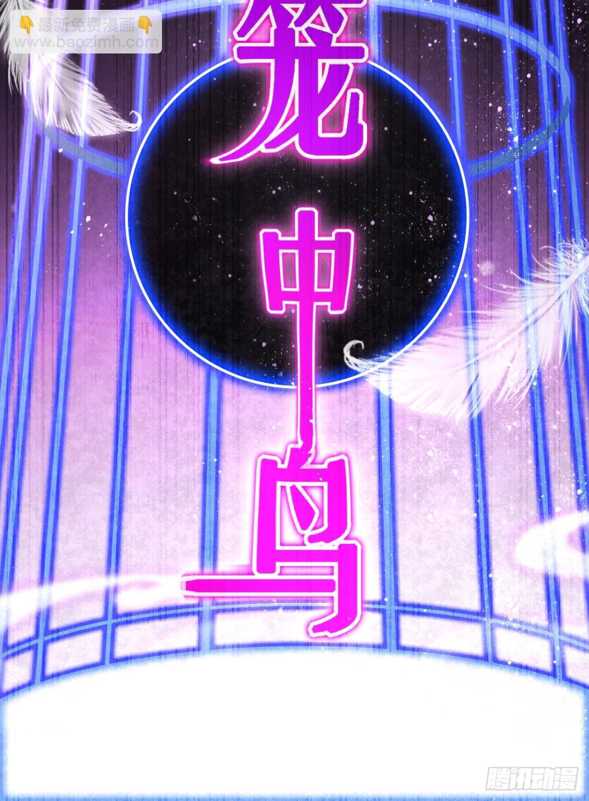 笼中的金丝雀-第66话