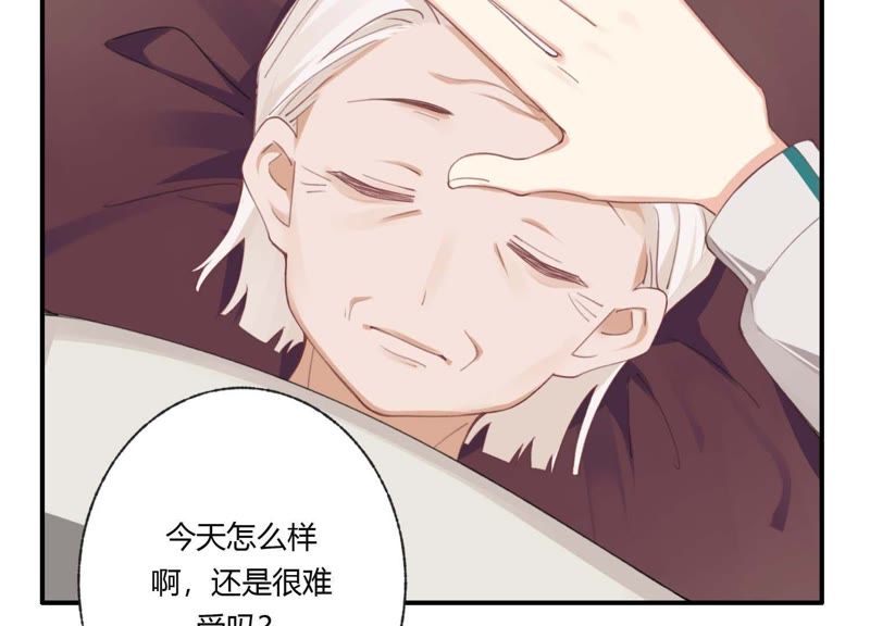 第40话 贝贝的过去(1/3)-第40话