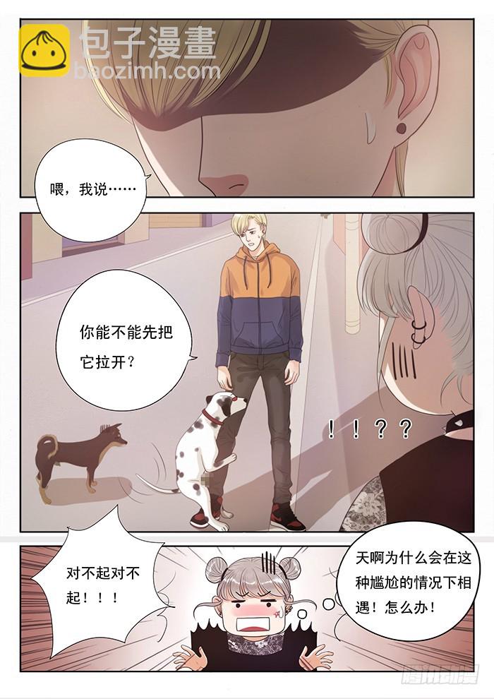 2.此处恶犬出没（下）-第2话