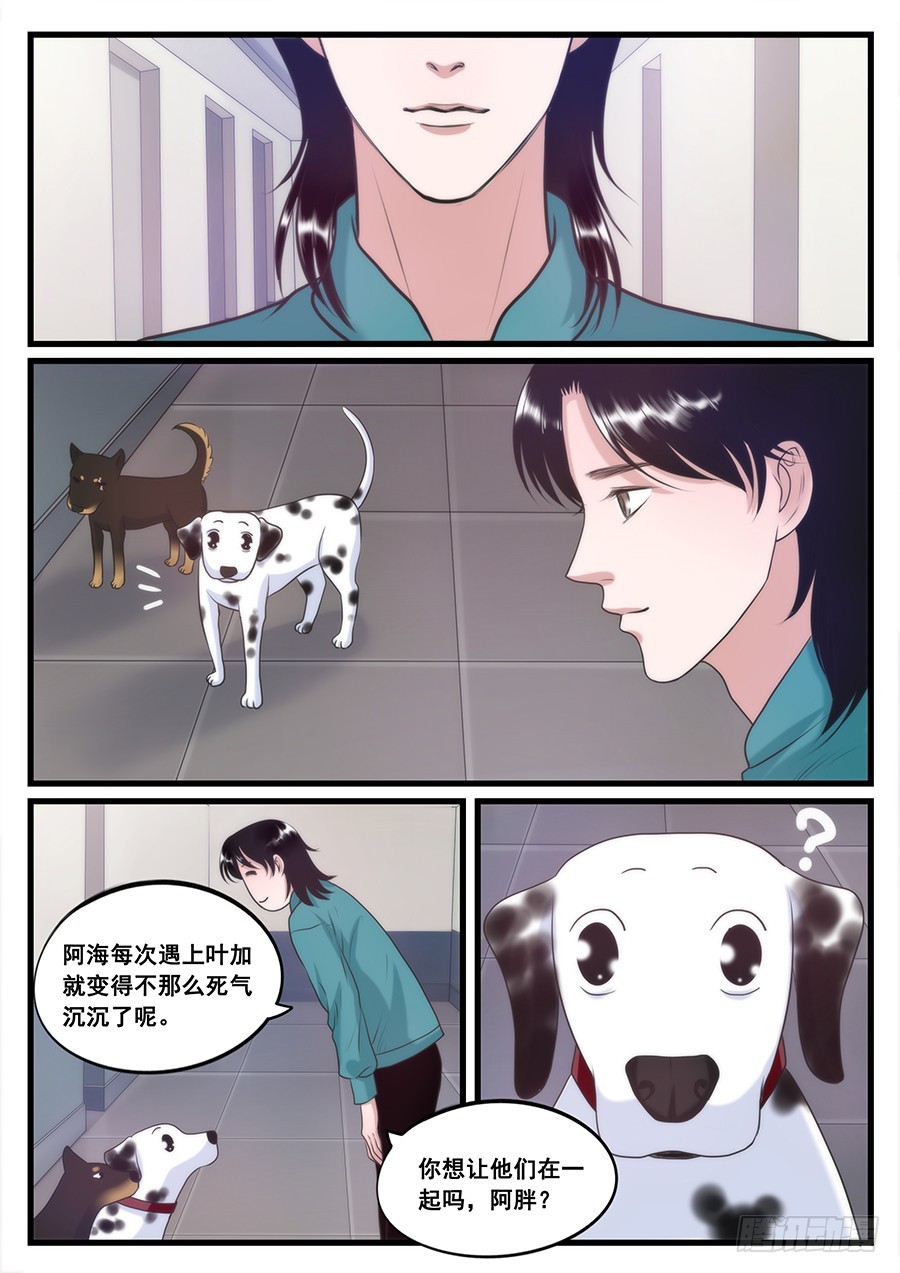 14.柏舟的心意-第14话