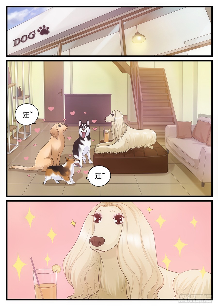 18.阿胖的艳遇-第18话