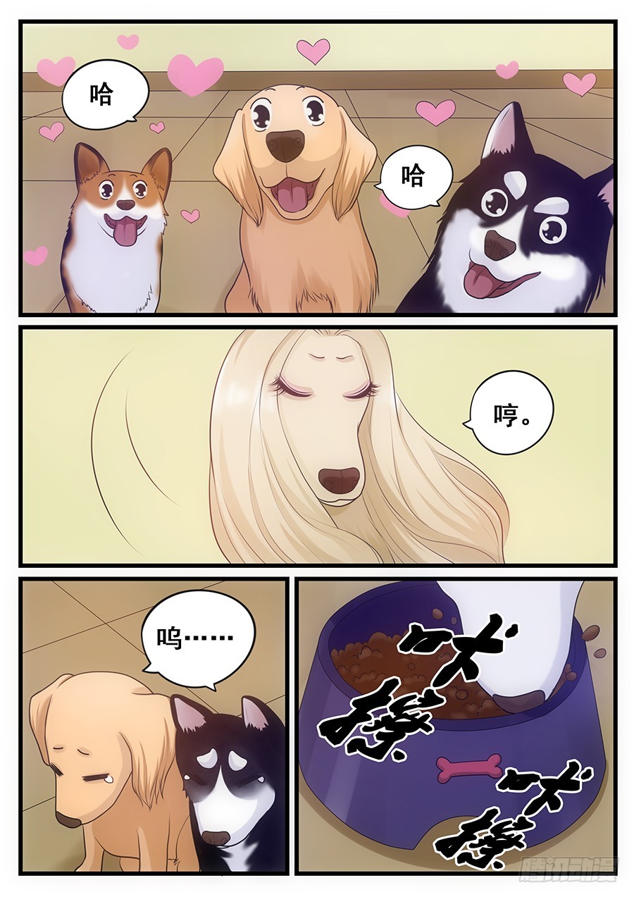 18.阿胖的艳遇-第18话