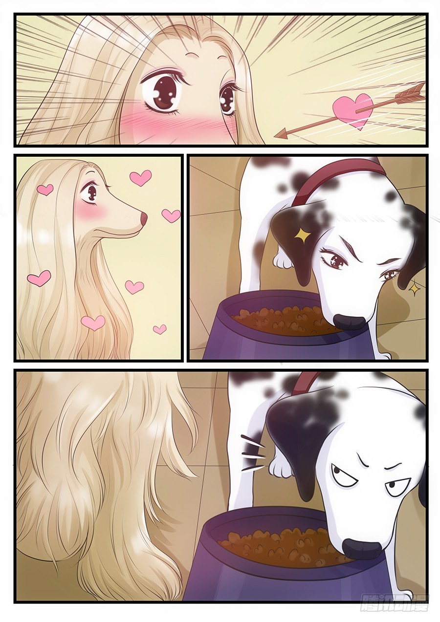 18.阿胖的艳遇-第18话