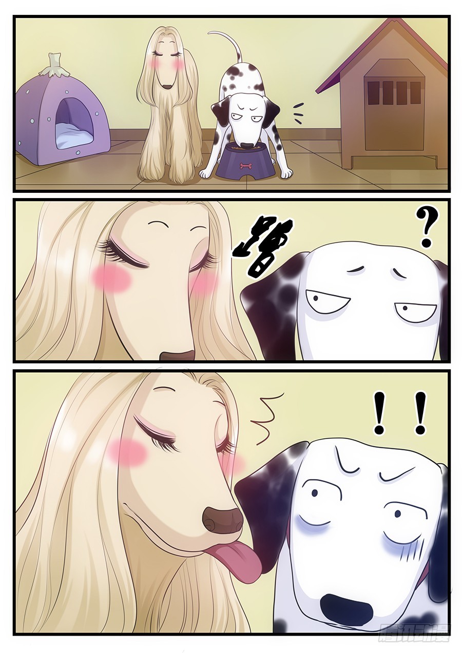 18.阿胖的艳遇-第18话