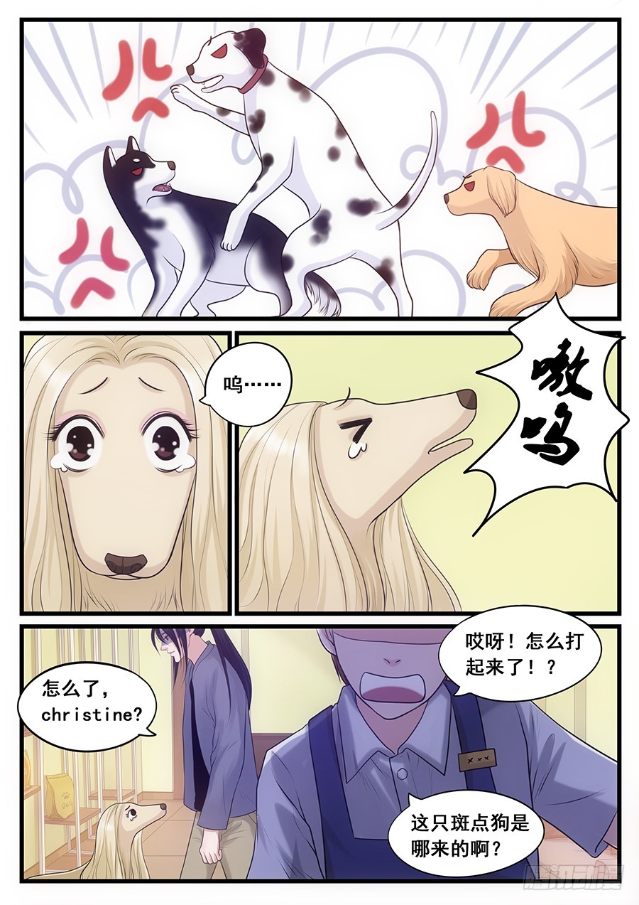 18.阿胖的艳遇-第18话