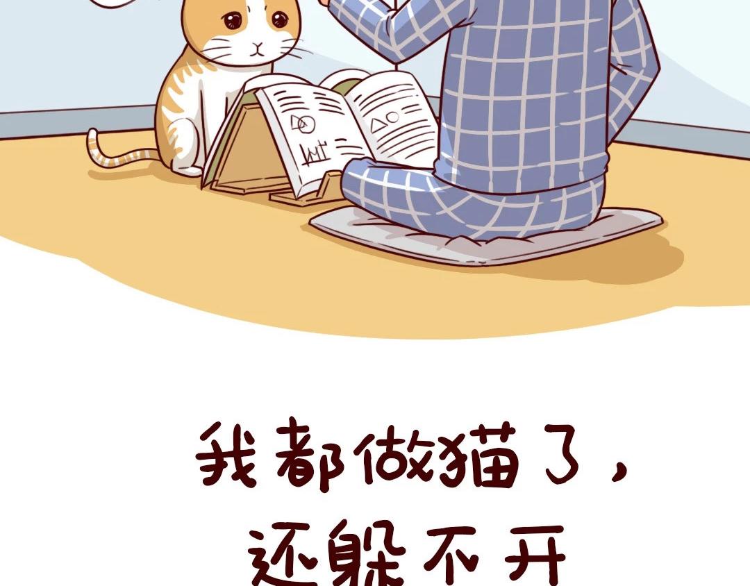 宅在家的我，研究出81种爱好-第12话