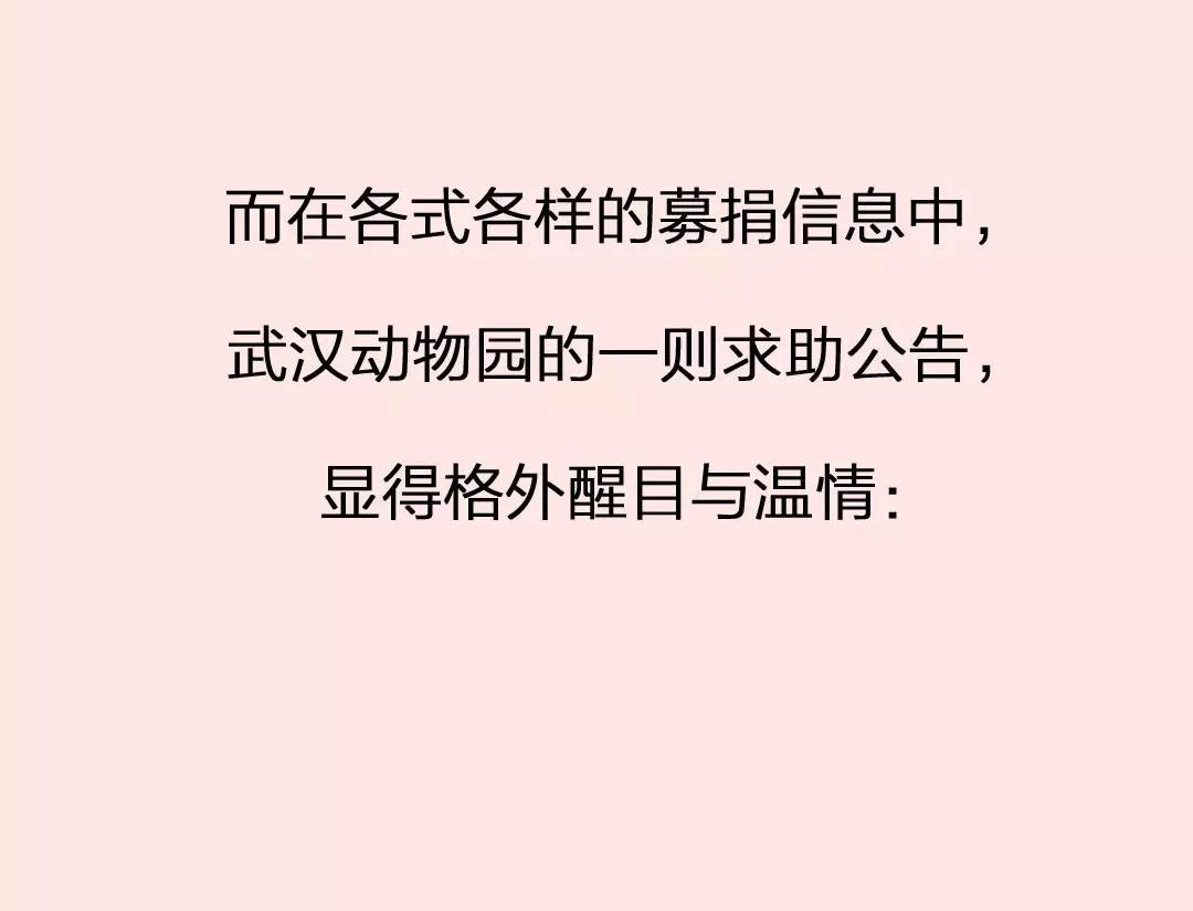 不能回家的武汉人：父母还好吗-第14话