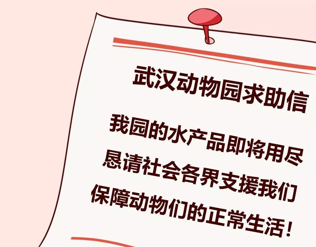 不能回家的武汉人：父母还好吗-第14话