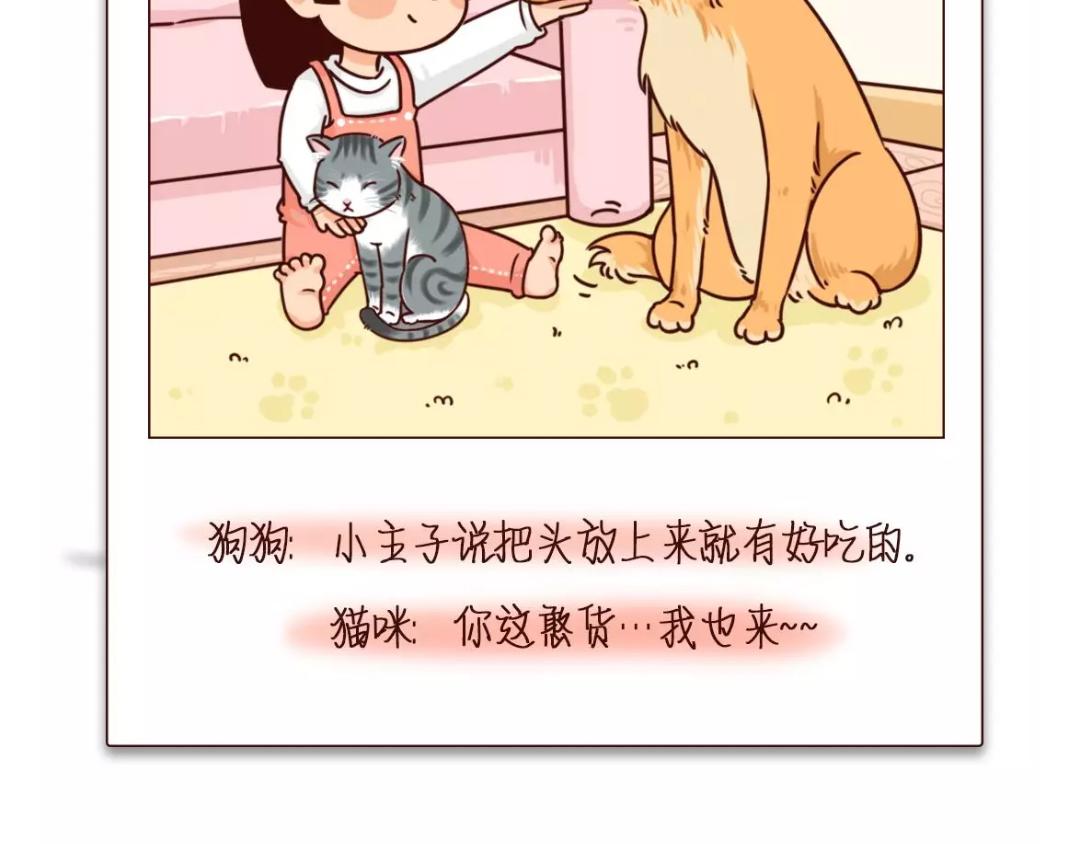 6个孩子与宠物的温馨瞬间：你陪-第20话