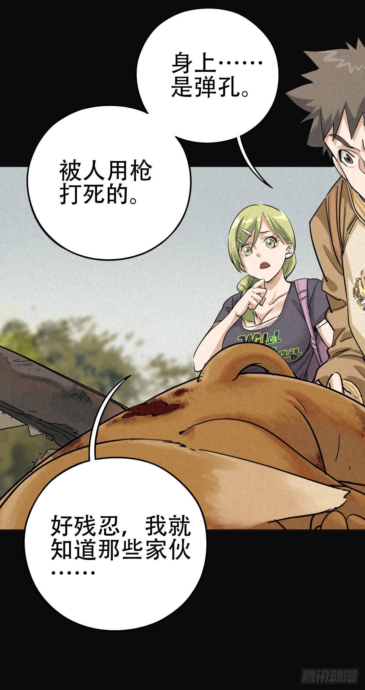 鸠占鹊巢-第52话