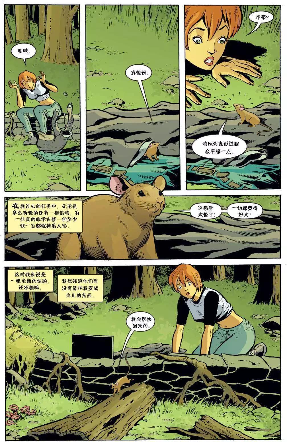 Fables - 第51卷 - 5
