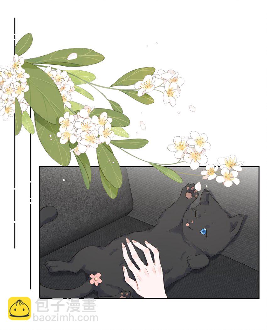 第67话 可爱小狗-第72话