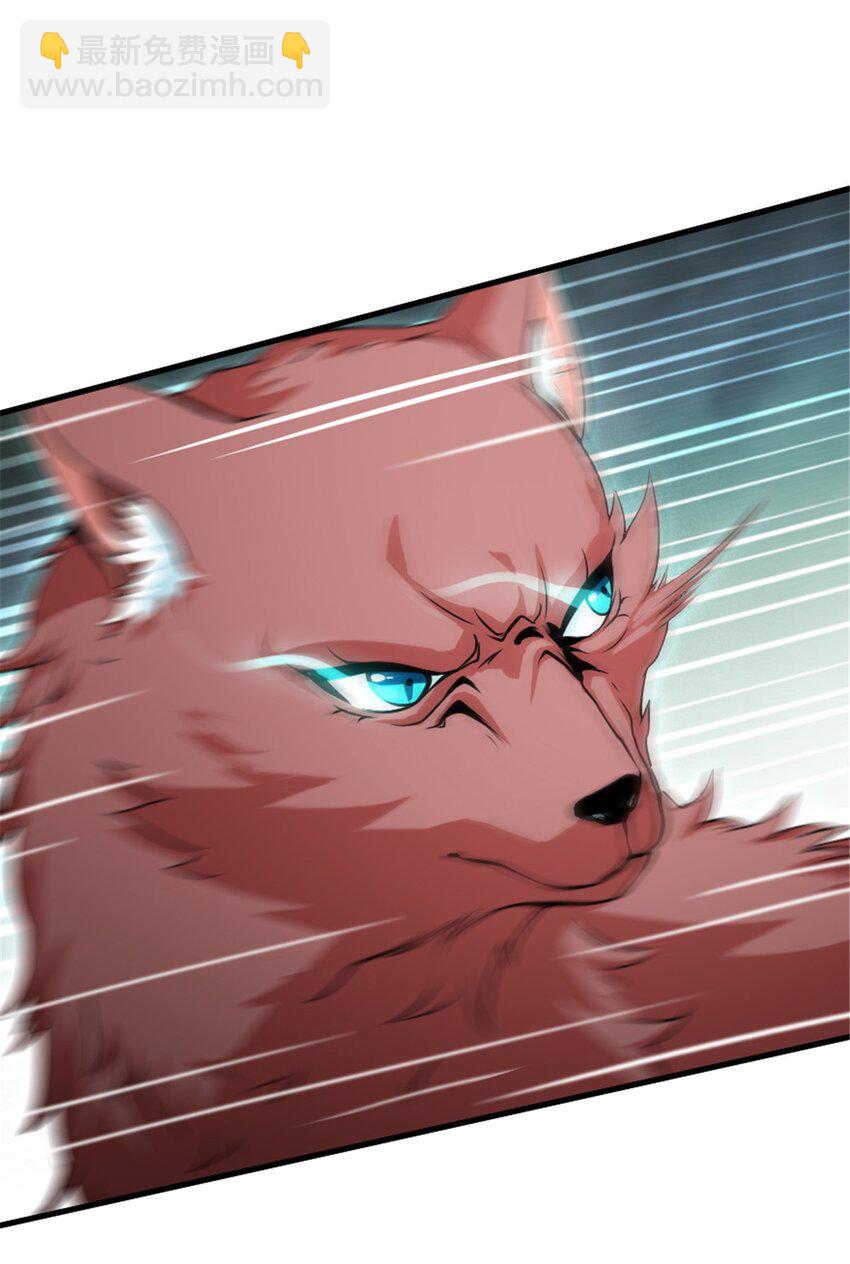 放開那個女巫 - 525 角逐蠻荒 - 3