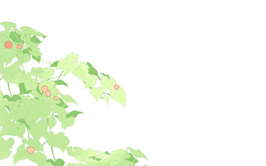 6 第5话  女友体验卡(1/3)-第6话