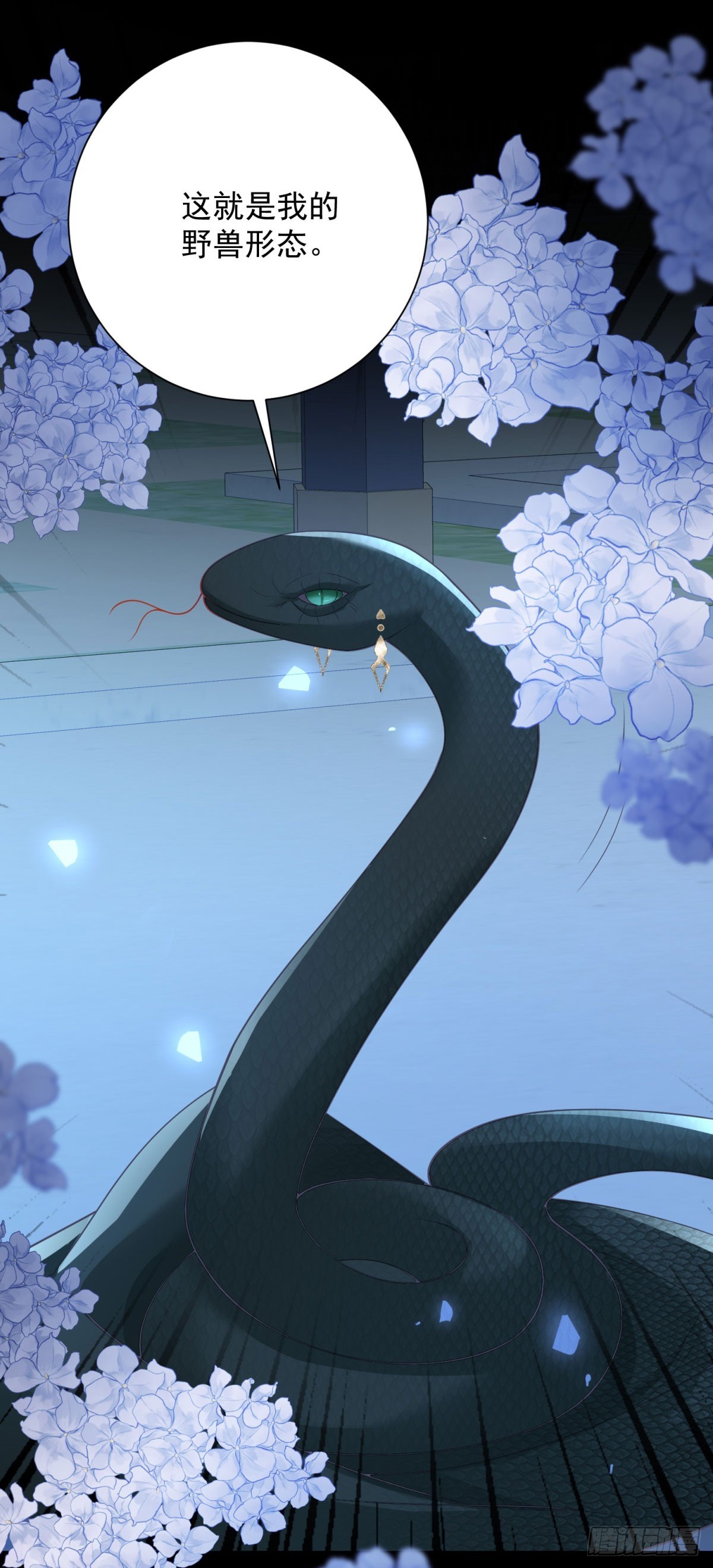 第41话 传授，变换的诀窍-第42话