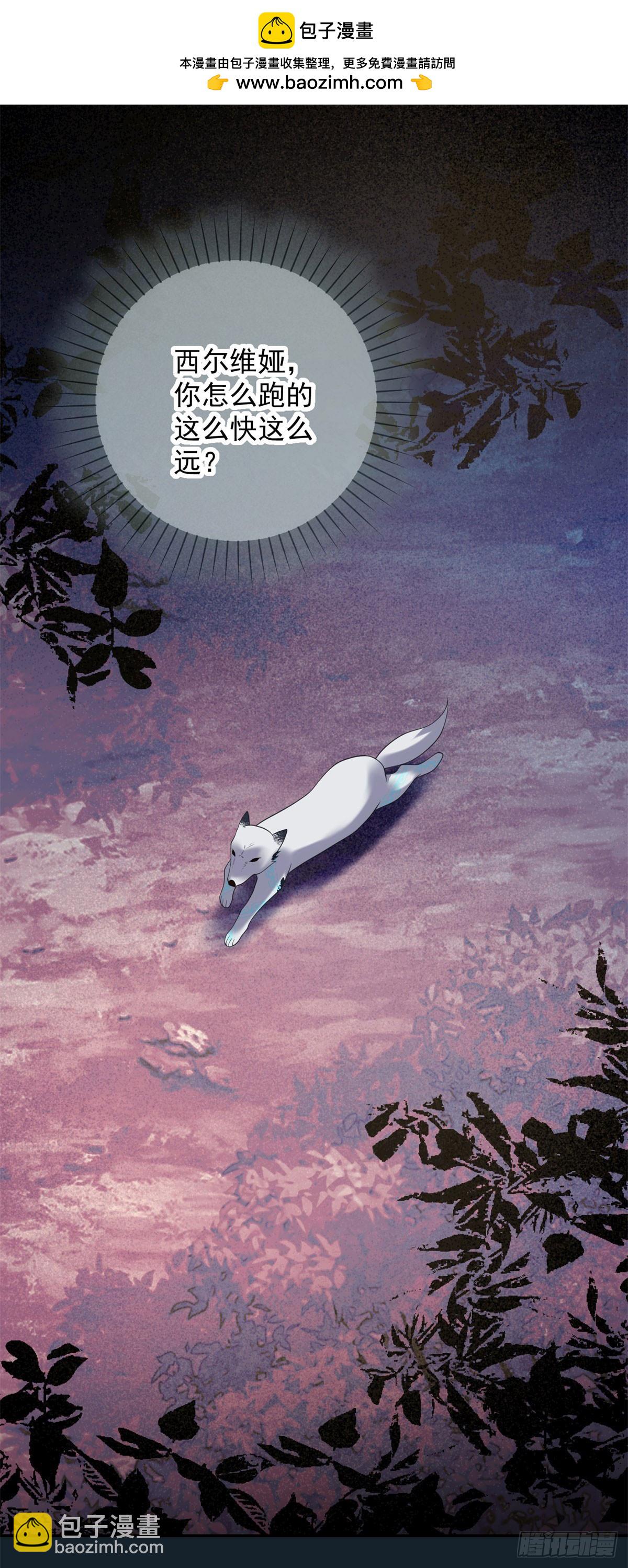 第65话 观察，她的强悍与坚强-第66话