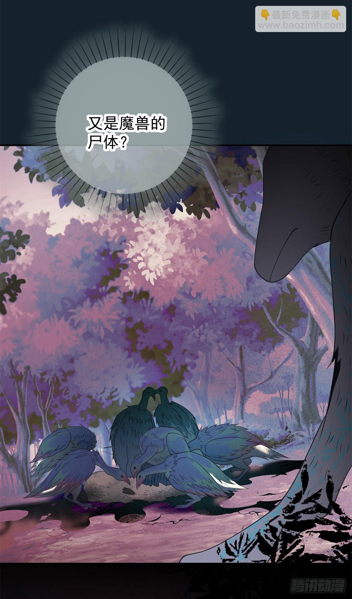 第65话 观察，她的强悍与坚强-第66话