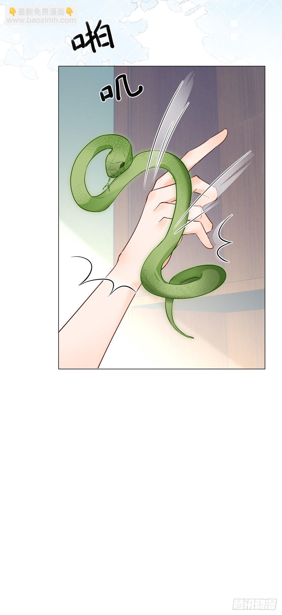 第28话 放了杀手-第28话