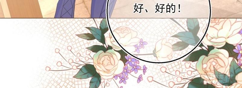 第14话 第12话 成为一家人的团宠(1/3)-第14话