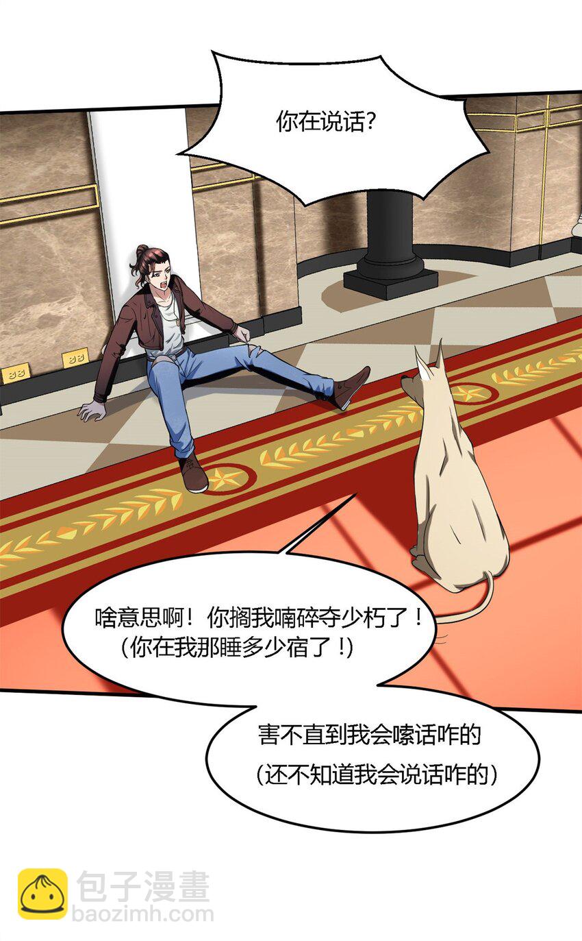 反派妖婿 - 10 第十話:鹹魚翻身---還是鹹魚(1/2) - 7