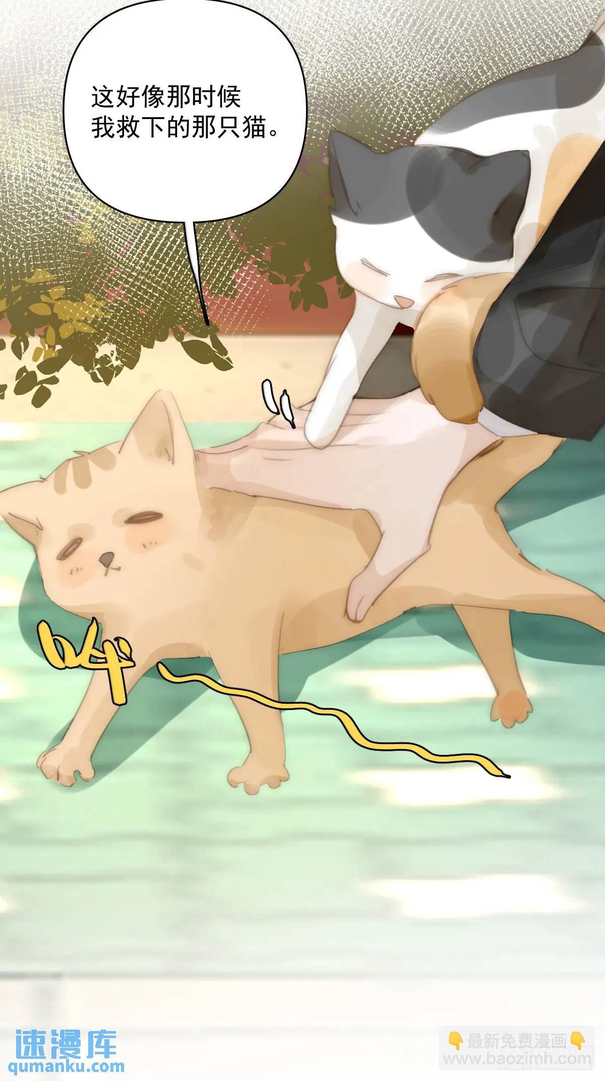 繁星告訴我 - 番外——尋常（1）(2/2) - 1