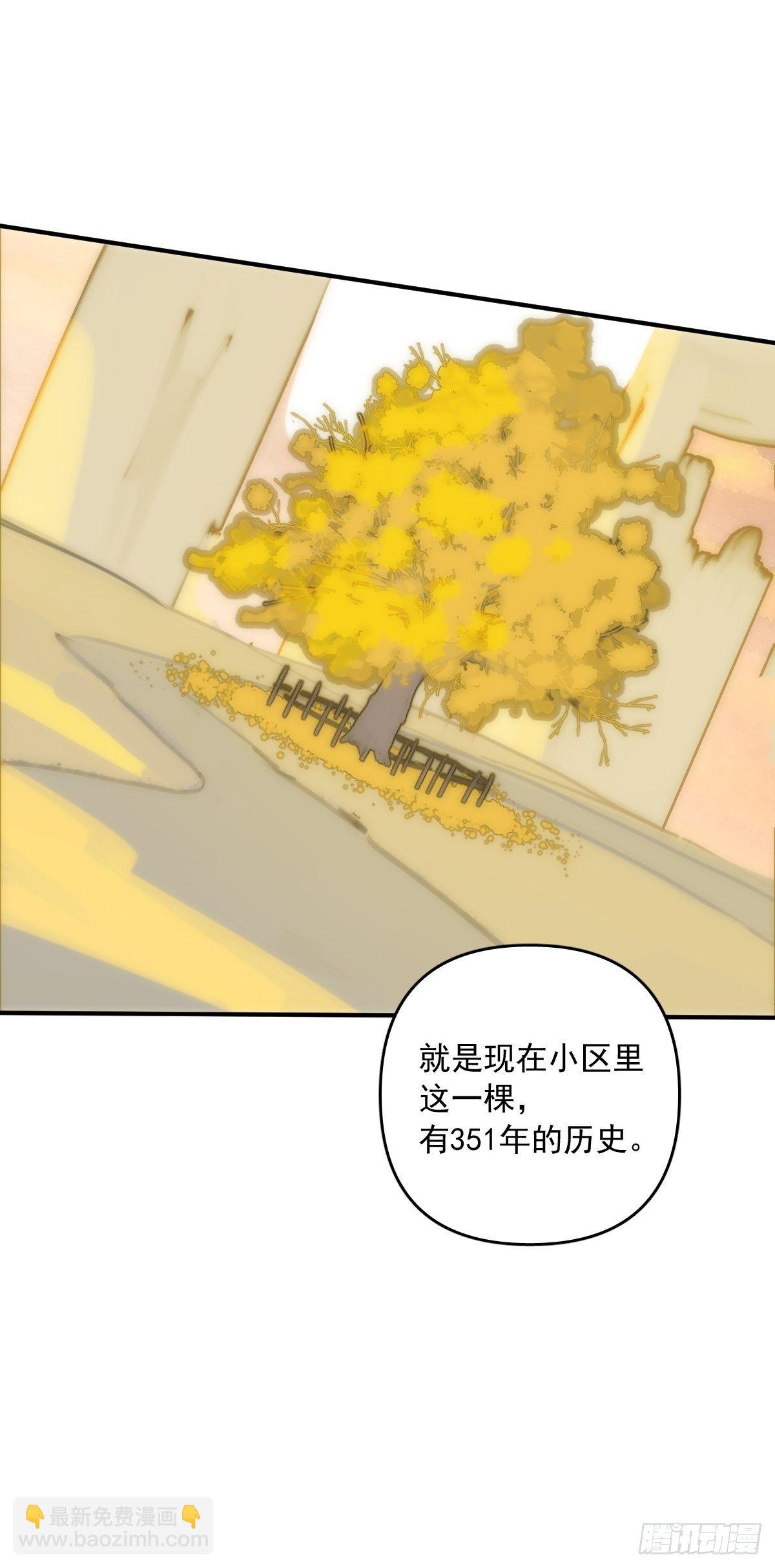 繁星告訴我 - 第23話 杏林村(1/2) - 6