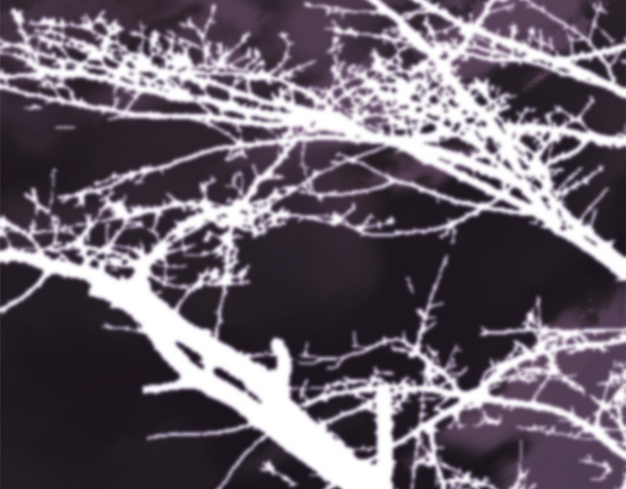 反正是歐風小甜漫 - 第141話 大熊出場(4/7) - 3