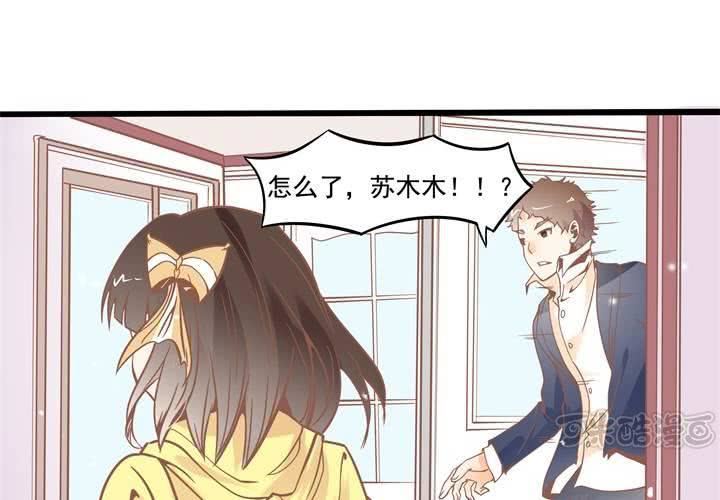 第41话 令人头疼的苏木木-第42话