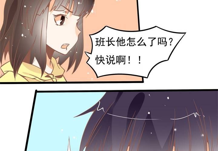 第41话 令人头疼的苏木木-第42话