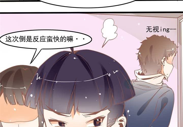 第41话 令人头疼的苏木木-第42话