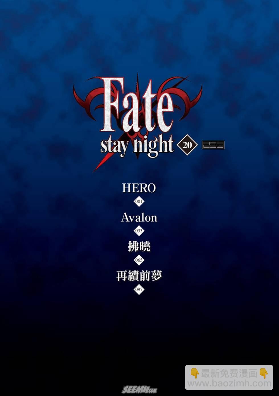 Fate/stay night - 第20卷 改黃櫻版(1/4) - 5