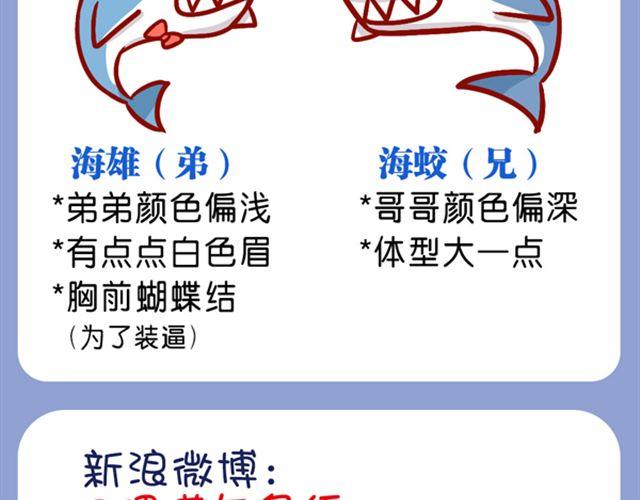 肥喵與兔紙 - 黑幫老大的煩惱(1/2) - 8