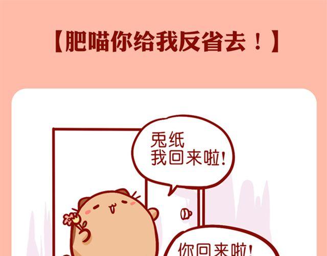 肥喵你给我反省去！-第16话