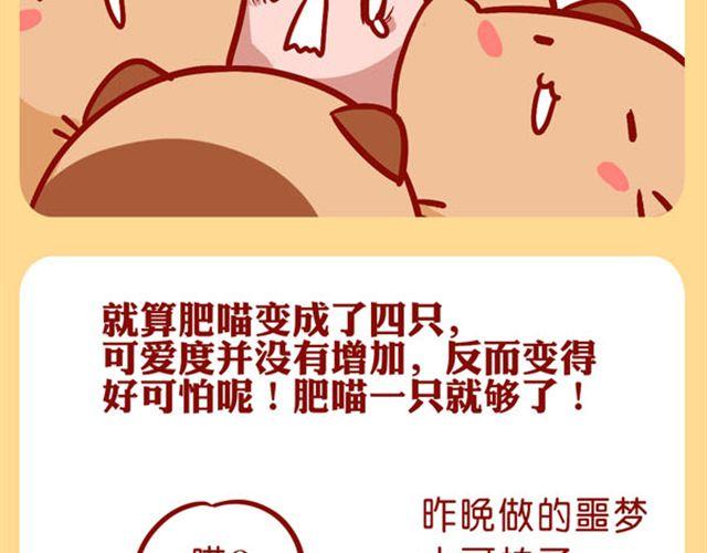 肥喵是猫哦-第18话