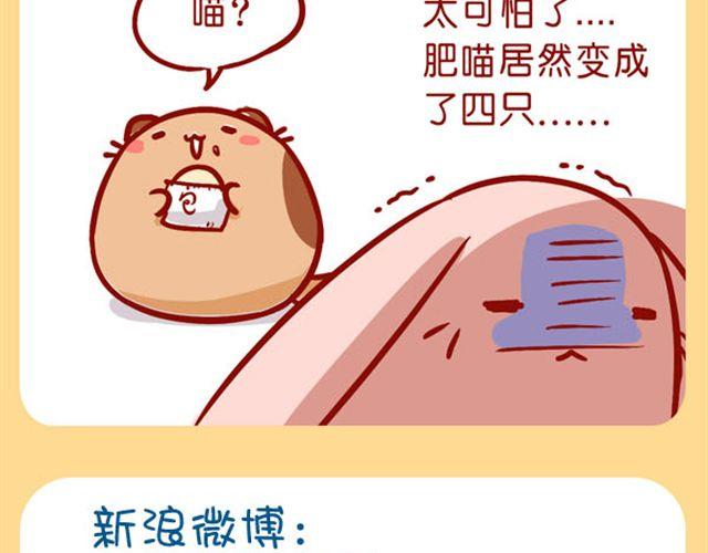 肥喵是猫哦-第18话