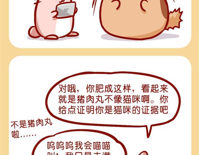 肥喵是猫哦-第18话