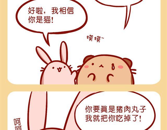 肥喵是猫哦-第18话