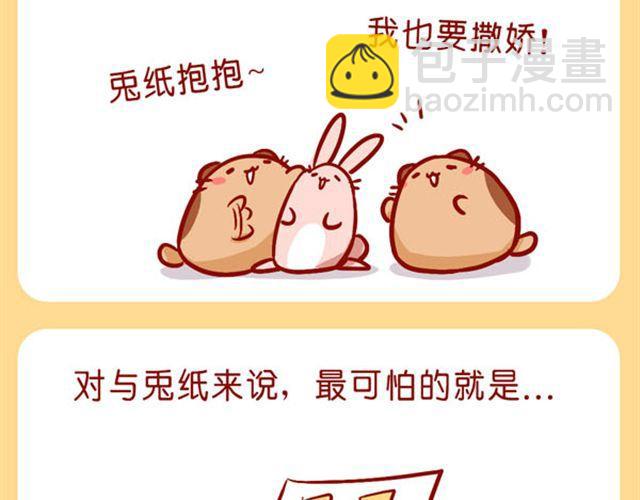 肥喵是猫哦-第18话